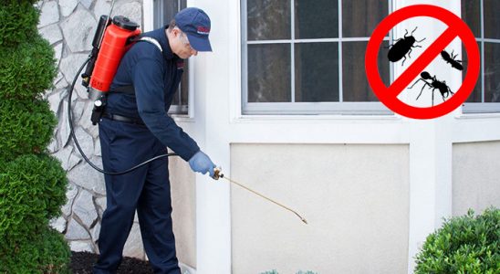 Bahçelievler Fare İlaçlama böcek ilaçlama ve haşere kontrolü — ilaclama-tr.com